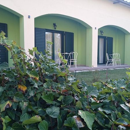 Guesthouse Eleftherios Калаврита Екстериор снимка