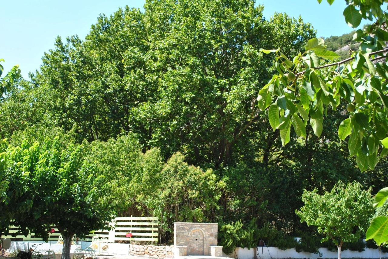 Guesthouse Eleftherios Калаврита Екстериор снимка