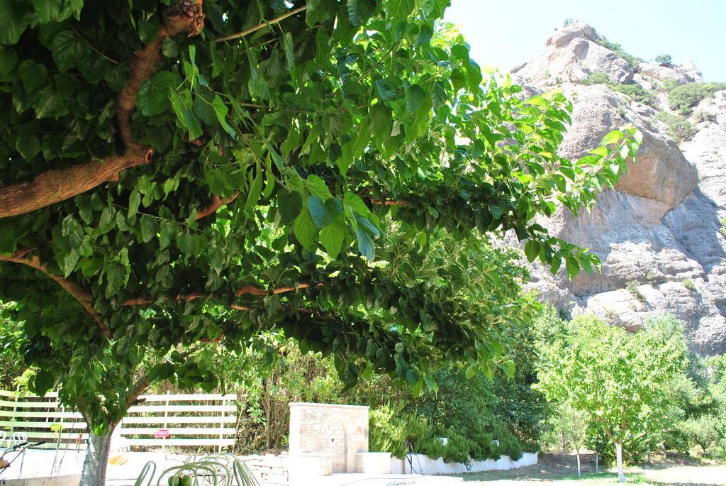 Guesthouse Eleftherios Калаврита Екстериор снимка