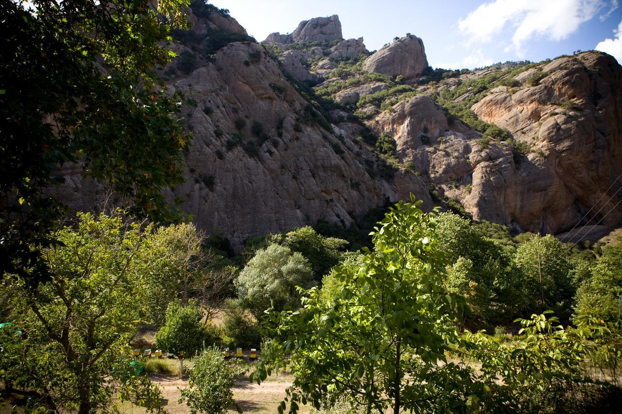 Guesthouse Eleftherios Калаврита Екстериор снимка