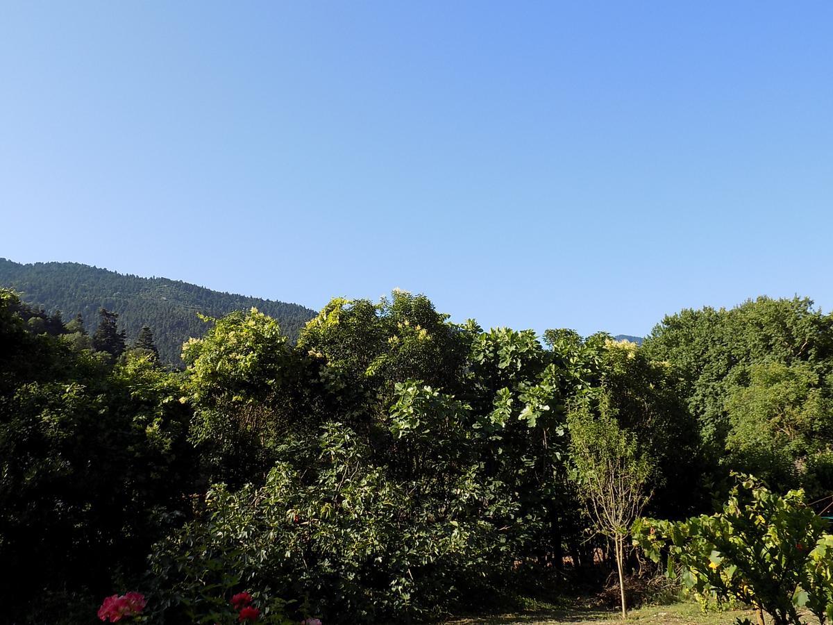 Guesthouse Eleftherios Калаврита Екстериор снимка