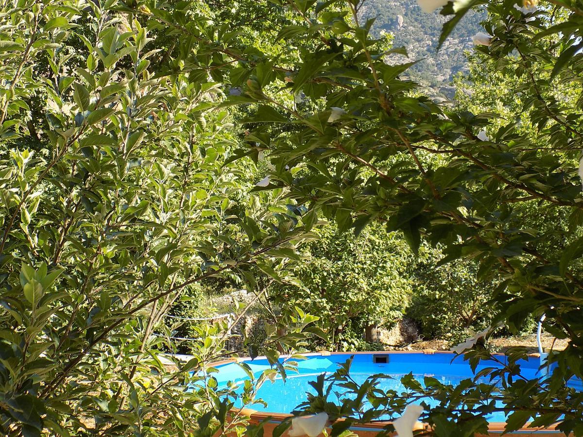 Guesthouse Eleftherios Калаврита Екстериор снимка